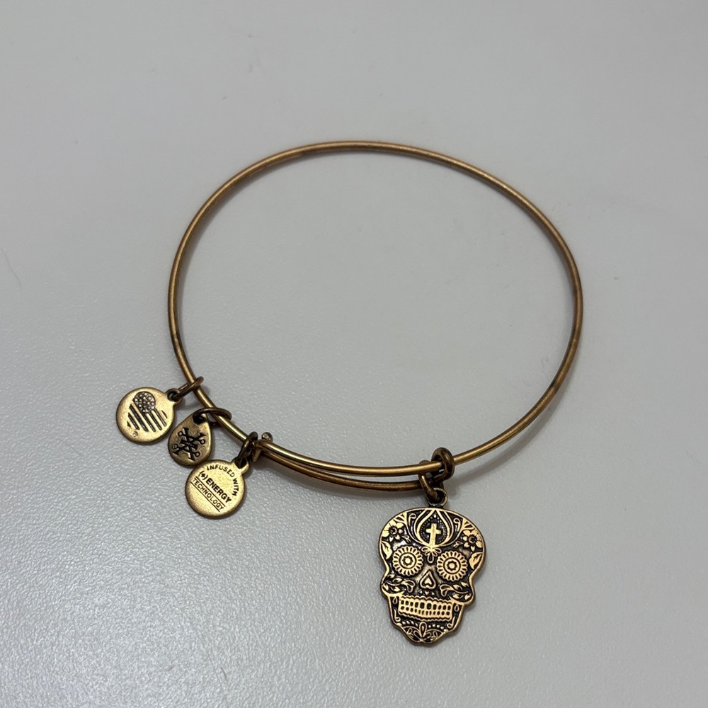 Alex and Ani Gold Skull Charm Bracelet